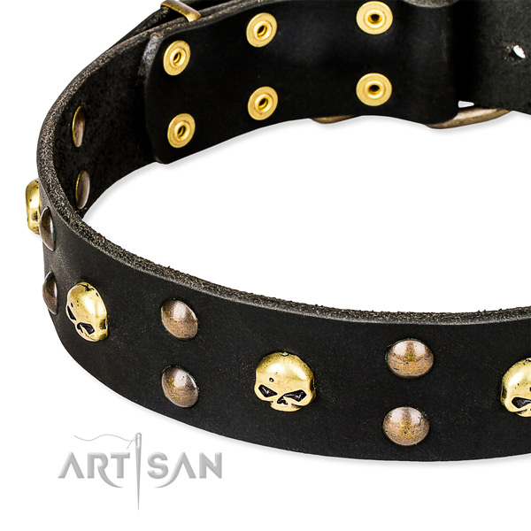 Stylish walking embellished dog collar of durable natural leather