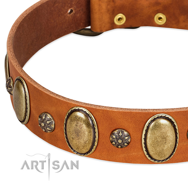 Daily use top notch full grain natural leather dog collar