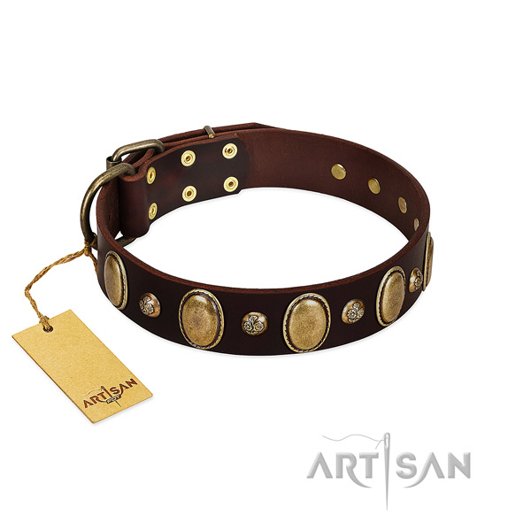 Natural leather dog collar of top rate material with incredible embellishments
