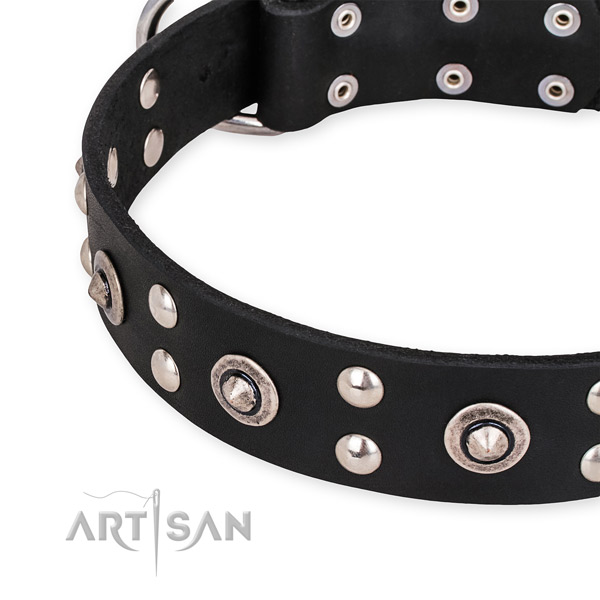 Leather collar with strong D-ring for your impressive doggie