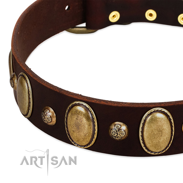 Genuine leather dog collar with extraordinary adornments