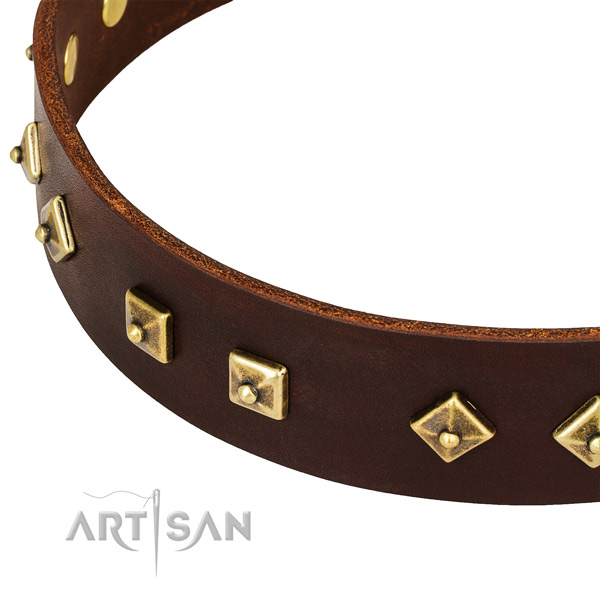 Extraordinary full grain leather collar for your handsome canine