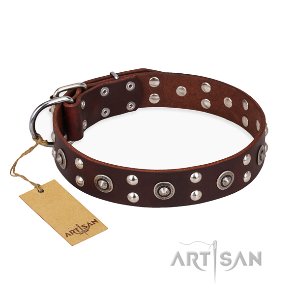 Daily walking extraordinary dog collar with strong traditional buckle