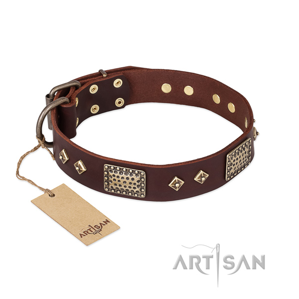 Handmade full grain natural leather dog collar for everyday walking
