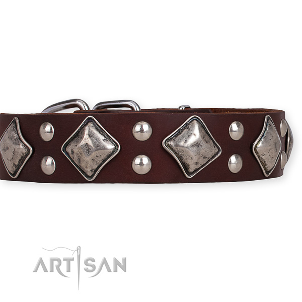 Full grain leather dog collar with exceptional corrosion resistant decorations