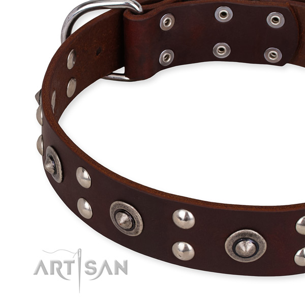 Full grain leather collar with strong hardware for your lovely doggie