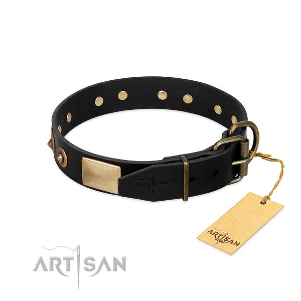 Reliable adornments on handy use dog collar