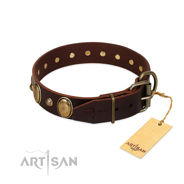 Corrosion proof fittings on full grain leather collar for everyday walking your pet