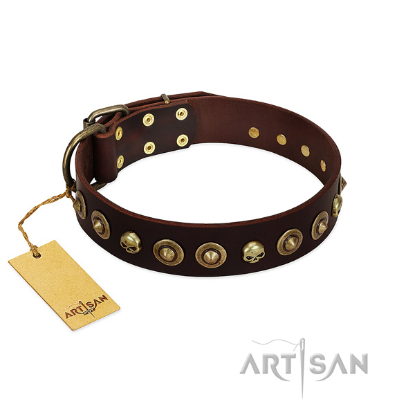 Full grain genuine leather collar with fashionable decorations for your four-legged friend