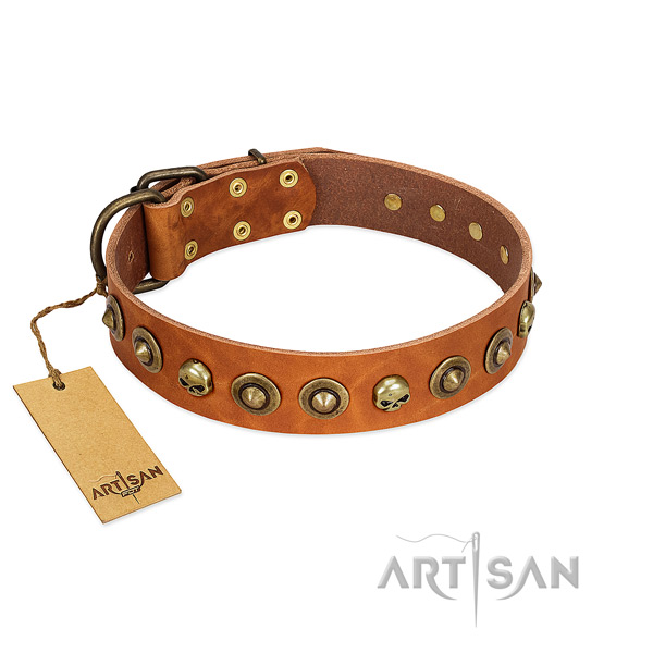 Full grain natural leather collar with unique adornments for your canine