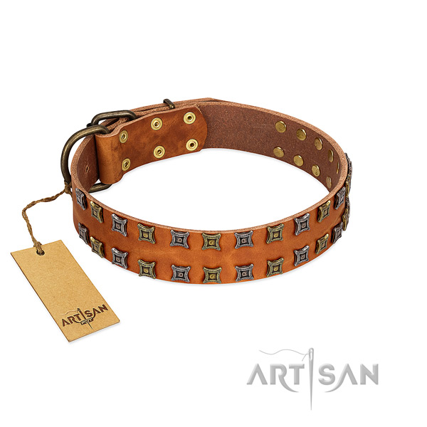 Reliable natural leather dog collar with adornments for your pet