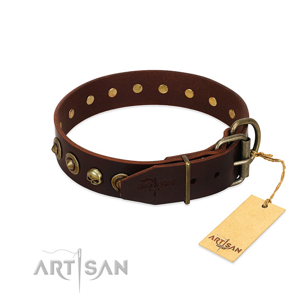 Natural leather collar with remarkable adornments for your pet