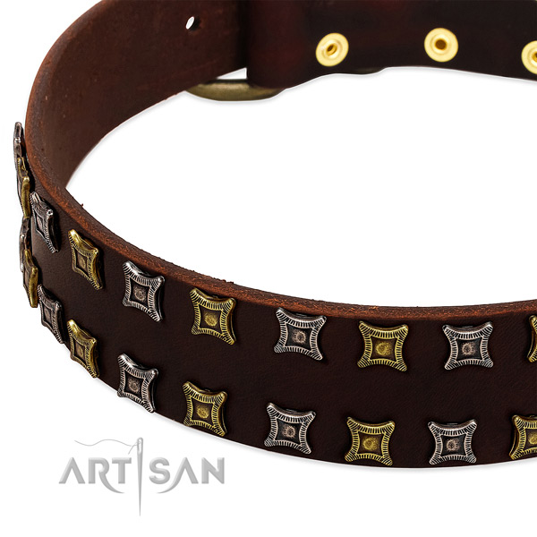 Reliable leather dog collar for your beautiful pet