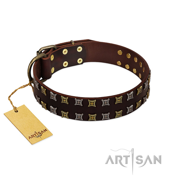 Soft genuine leather dog collar with studs for your four-legged friend