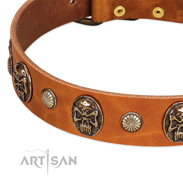Strong adornments on leather dog collar for your pet