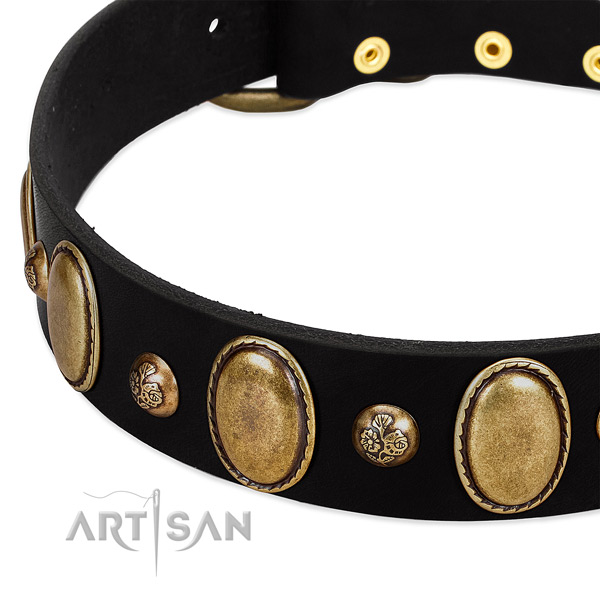 Full grain leather dog collar with extraordinary embellishments