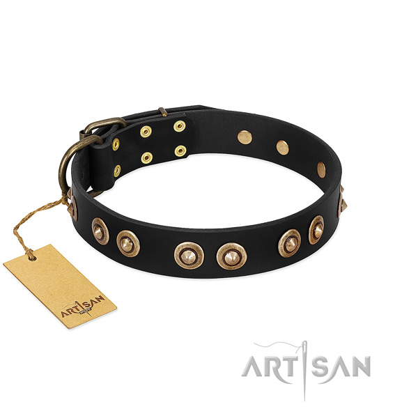 Rust-proof studs on natural genuine leather dog collar for your four-legged friend