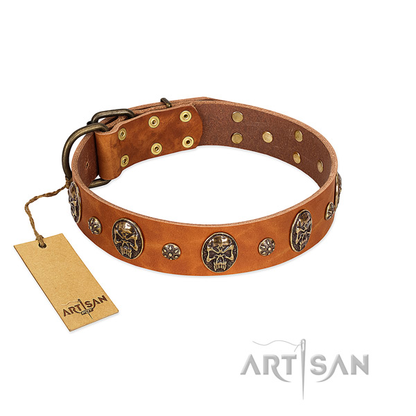 Remarkable full grain leather collar for your four-legged friend