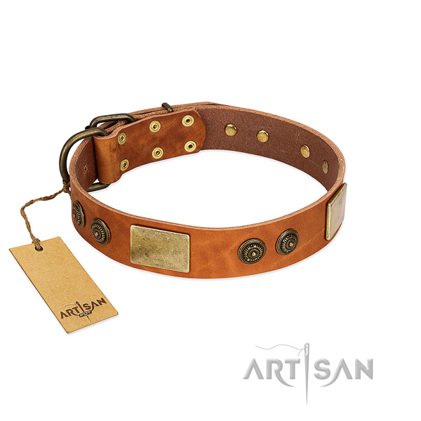 Easy wearing full grain genuine leather dog collar for fancy walking
