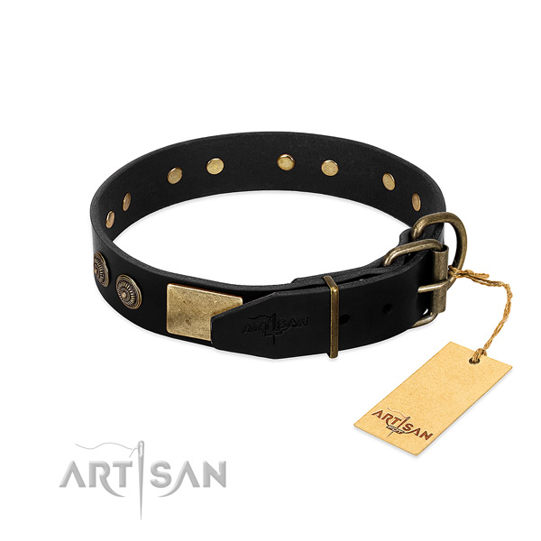 Durable embellishments on full grain natural leather dog collar for your pet