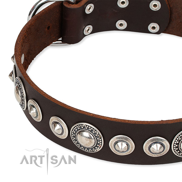 Comfy wearing studded dog collar of best quality full grain leather