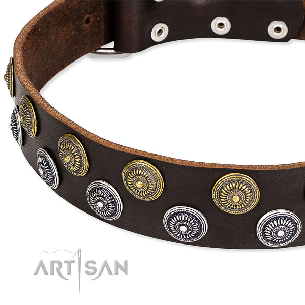 Comfortable wearing decorated dog collar of quality leather