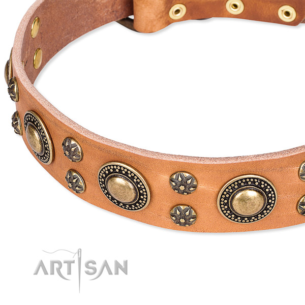 Stylish walking studded dog collar of fine quality full grain leather