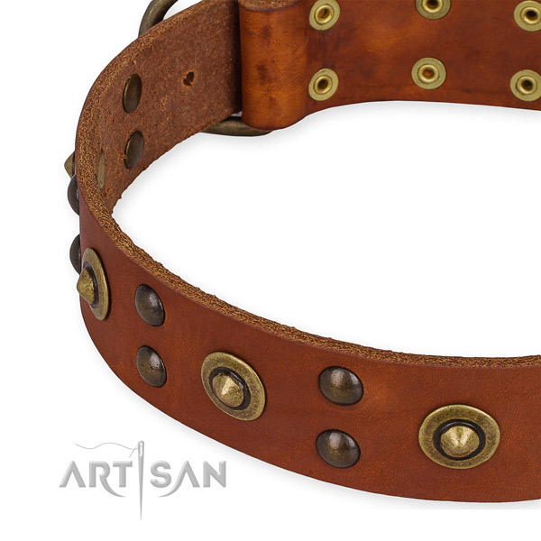 Full grain leather collar with rust resistant hardware for your stylish pet