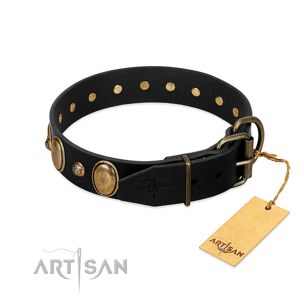 Rust-proof fittings on natural genuine leather collar for fancy walking your pet