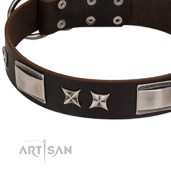 Significant collar of genuine leather for your beautiful dog