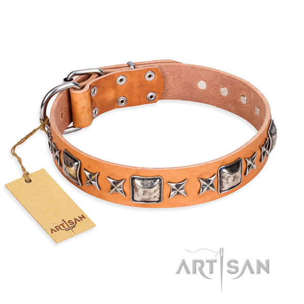 Everyday walking dog collar of finest quality genuine leather with decorations