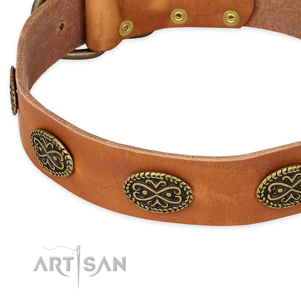 Designer leather collar for your stylish canine