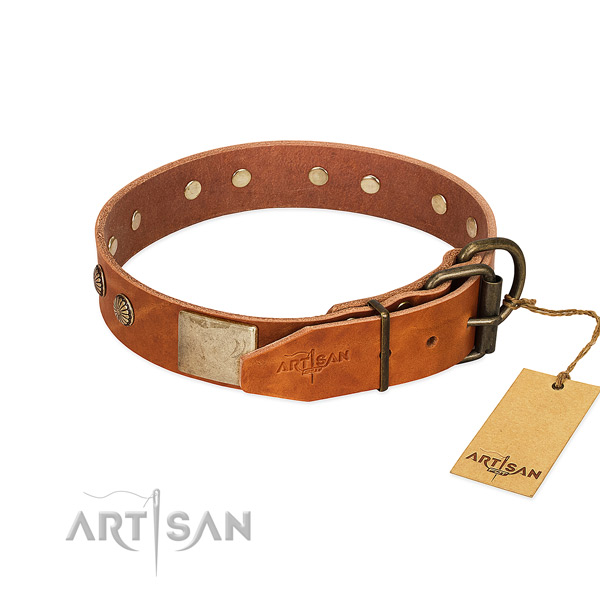 Strong adornments on everyday use dog collar