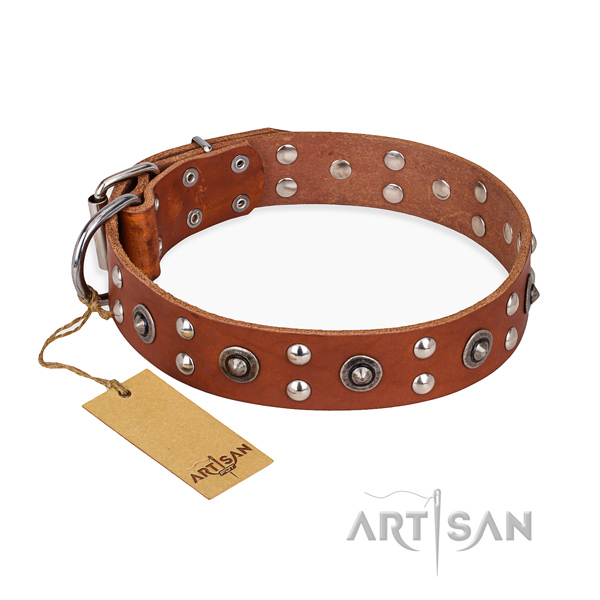 Basic training exquisite dog collar with rust resistant fittings