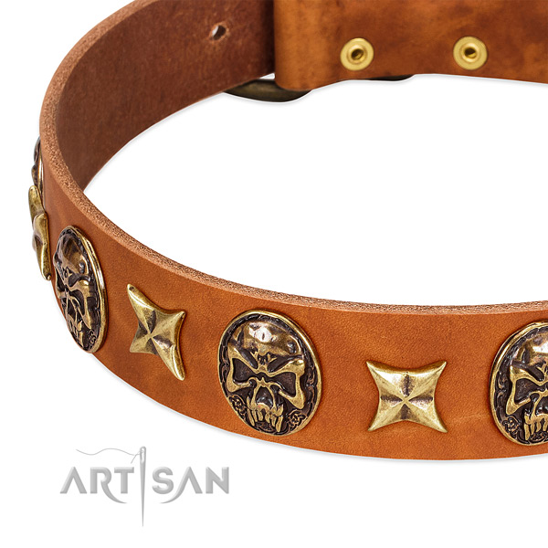 Corrosion resistant embellishments on full grain leather dog collar for your pet