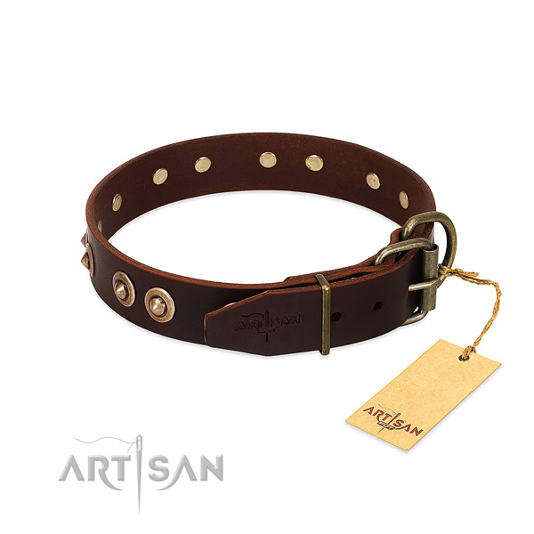 Corrosion proof studs on leather dog collar for your pet