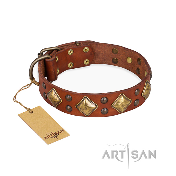 Walking exceptional dog collar with rust-proof D-ring