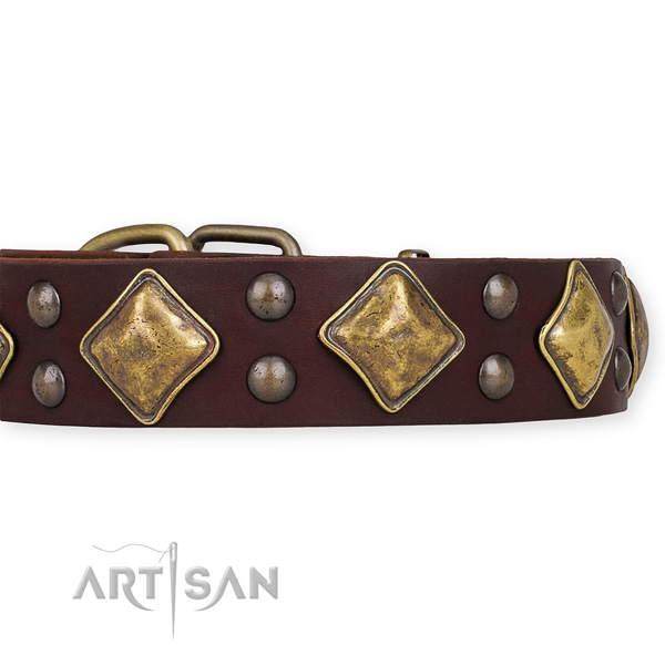 Full grain genuine leather dog collar with stylish corrosion proof embellishments