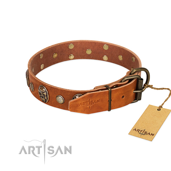 Rust resistant fittings on full grain genuine leather collar for walking your dog