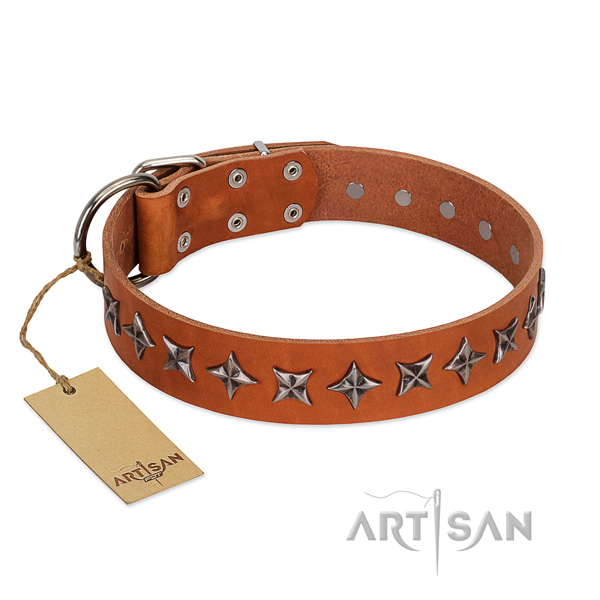 Everyday walking dog collar of best quality genuine leather with decorations