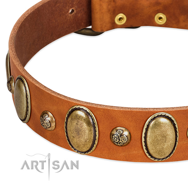 Full grain genuine leather dog collar with inimitable decorations