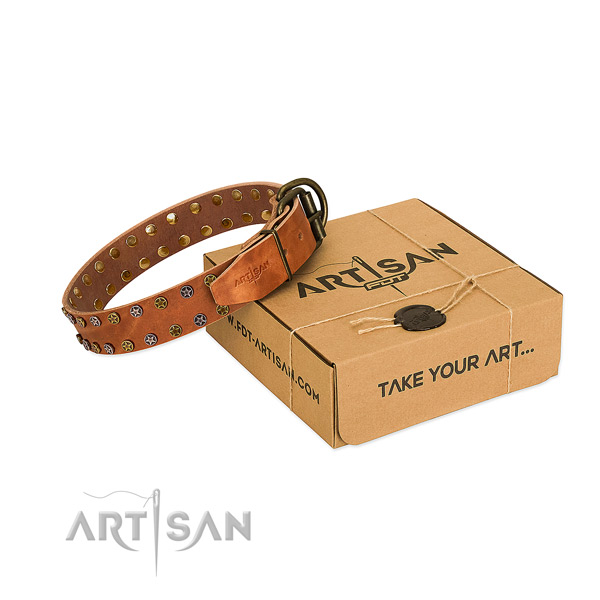 Comfortable wearing high quality full grain leather dog collar with adornments