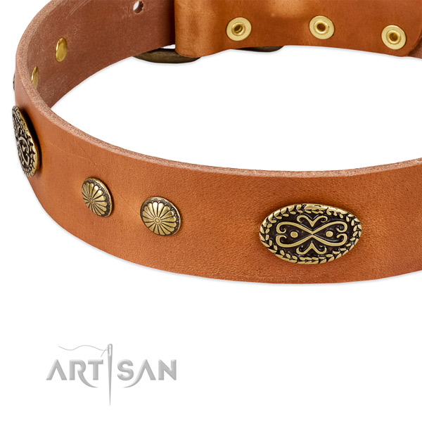 Durable studs on full grain leather dog collar for your pet