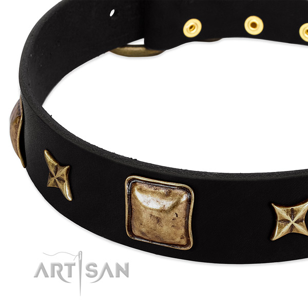 Full grain leather dog collar with stylish adornments