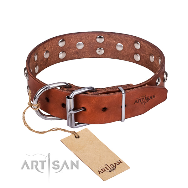 Comfy wearing dog collar of high quality natural leather with embellishments