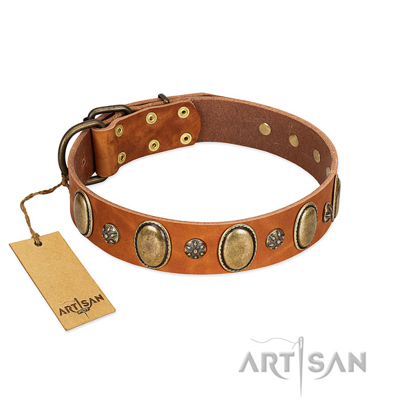 Everyday walking high quality full grain natural leather dog collar with adornments