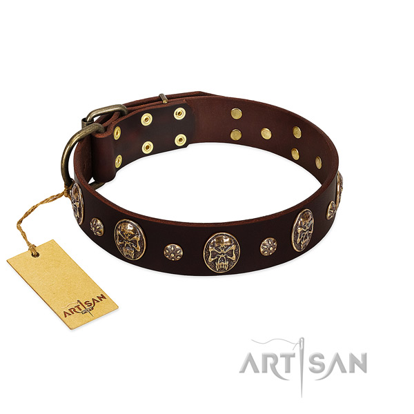 Handcrafted genuine leather collar for your pet