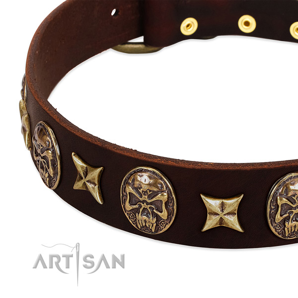 Corrosion proof embellishments on leather dog collar for your four-legged friend