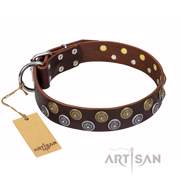 Basic training dog collar of reliable full grain leather with studs
