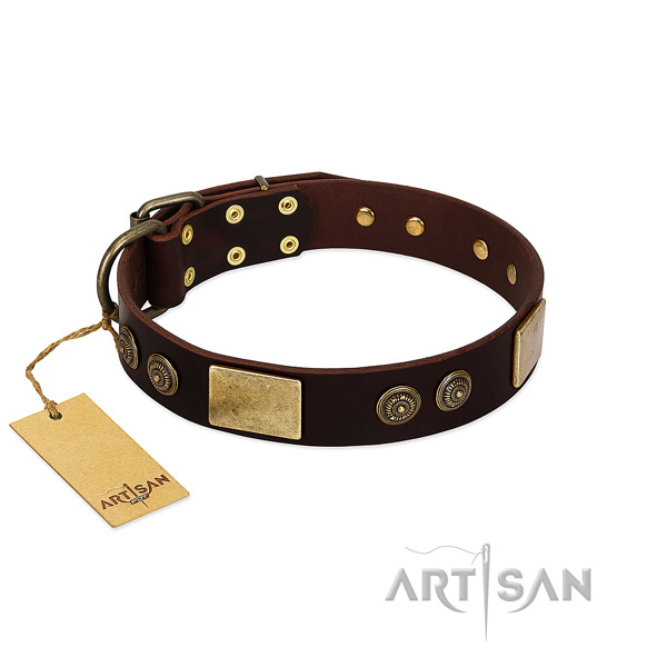 Rust-proof buckle on leather dog collar for your doggie